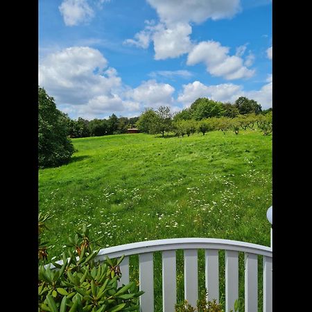 Neu Ferienwohnung Odenwald Rimhorn Екстер'єр фото