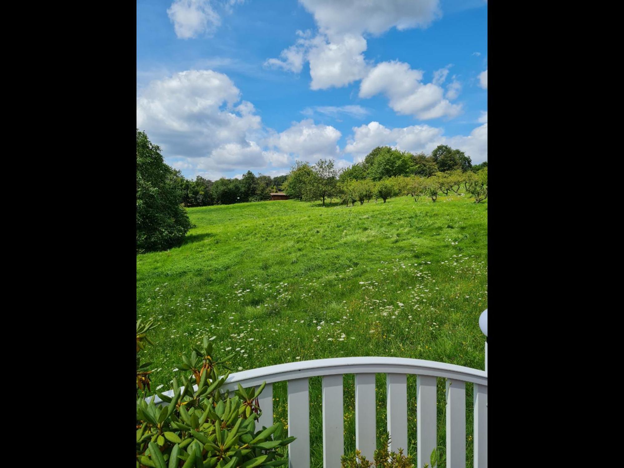 Neu Ferienwohnung Odenwald Rimhorn Екстер'єр фото